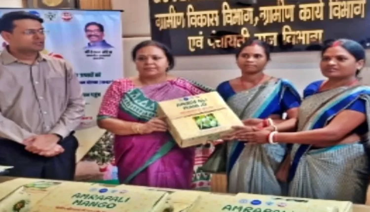 Jharkhand Amrapali Mango