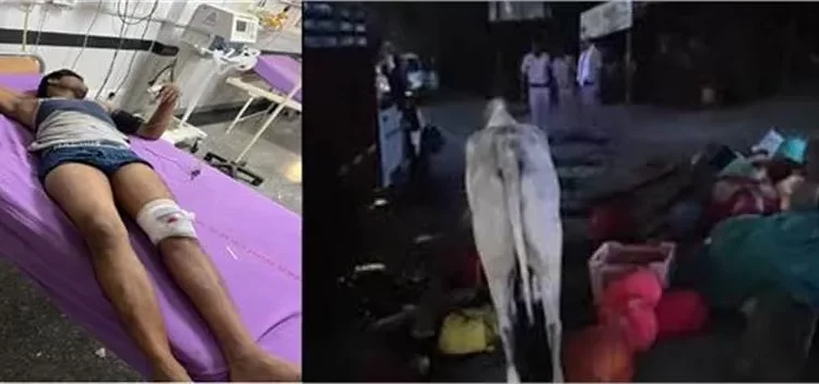 encounter between police and cow smugglers