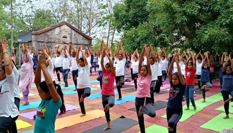 Yoga for Healthy Ageing